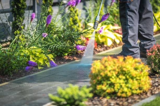 Best Winterizing Services  in Fennville, MI