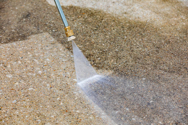Best Sidewalk and Walkway Cleaning  in Fennville, MI