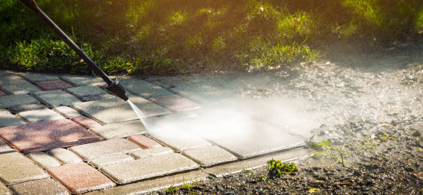 Best House Exterior Washing  in Fennville, MI