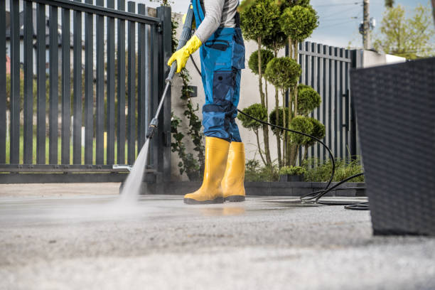 Best Animal Enclosure Cleaning  in Fennville, MI